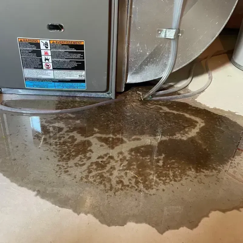 Appliance Leak Cleanup in Valencia County, NM